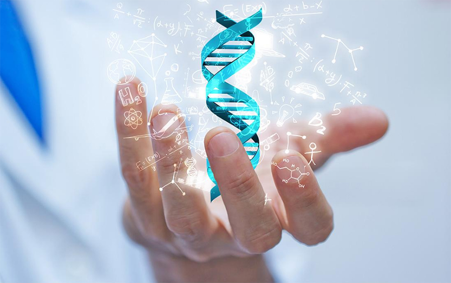 邯郸隐私DNA亲子鉴定需要怎么做,邯郸个人亲子鉴定办理方法