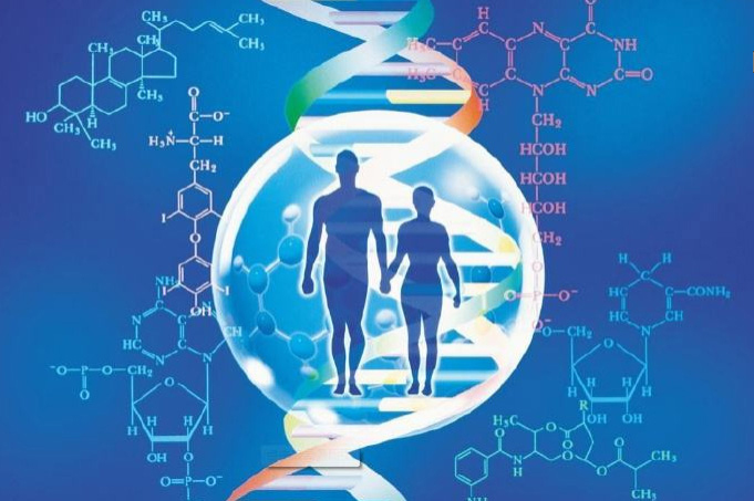 宁波个人DNA亲子鉴定需要如何做,宁波个人亲子鉴定流程