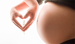 怀孕6周在江苏怎么做亲子鉴定？在江苏怀孕做亲子鉴定准确吗？