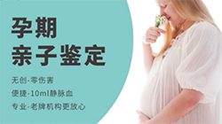 在[海南省]怀孕了怎么做亲子鉴定预约咨询，海南省产前亲子鉴定要多少钱的费用