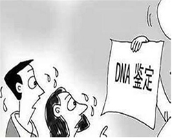乌海司法DNA亲子鉴定收费明细（专家咨询）