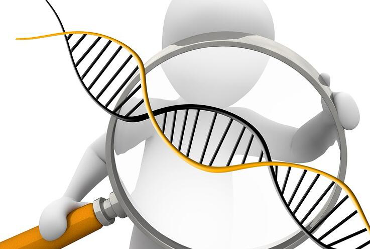 陕西省匿名DNA亲子鉴定要如何办理,陕西省个人亲子鉴定流程