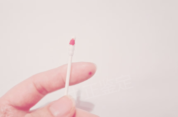 个人亲子鉴定和司法亲子鉴定的区别